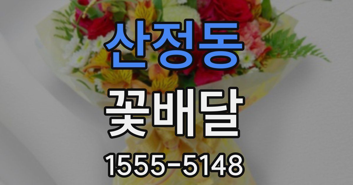 산정동 꽃배달