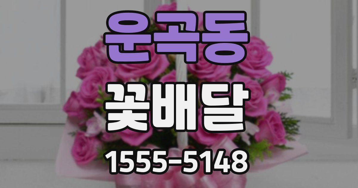 운곡동 꽃배달