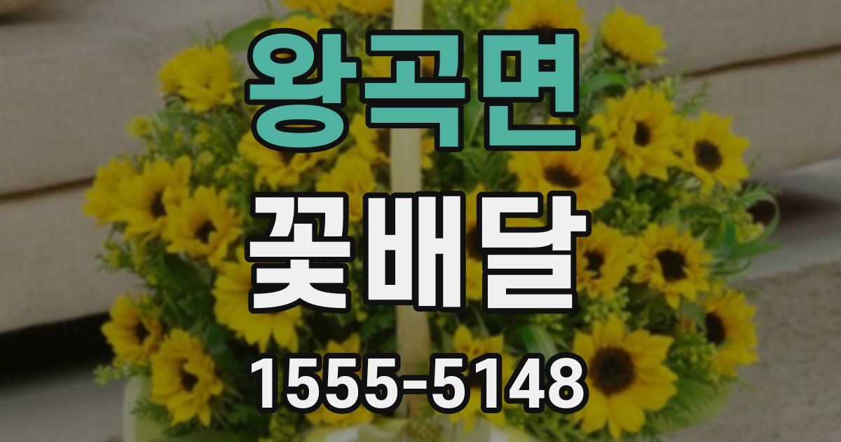 왕곡면 꽃배달