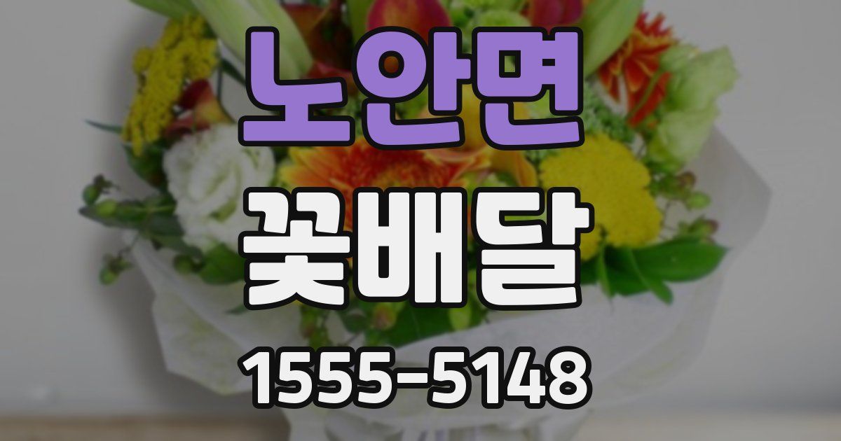 노안면 꽃배달
