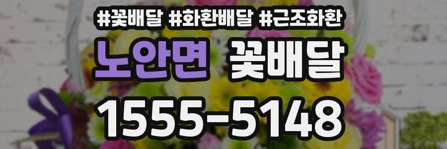 노안면 꽃배달