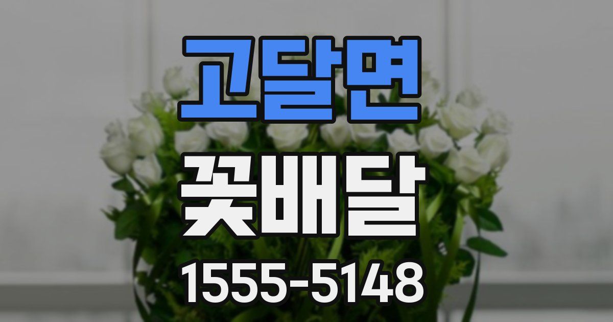 고달면 꽃배달