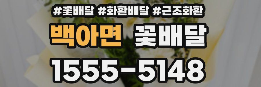 백아면 꽃배달