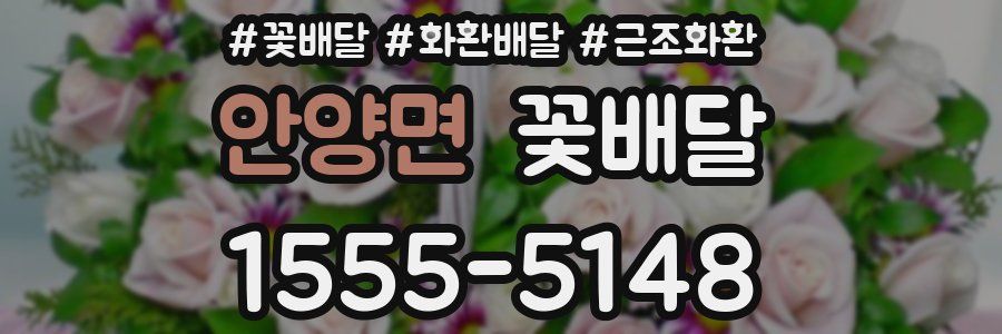 안양면 꽃배달