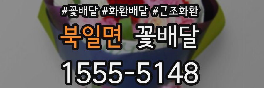 북일면 꽃배달