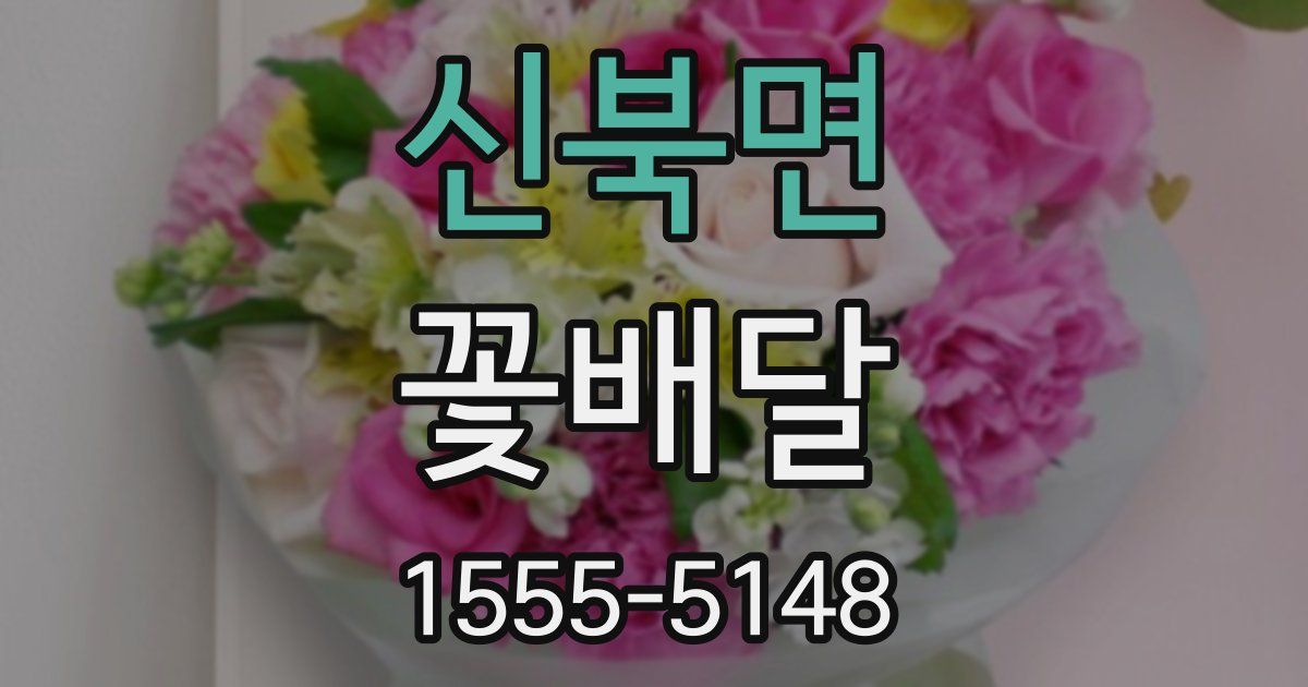 신북면 꽃배달