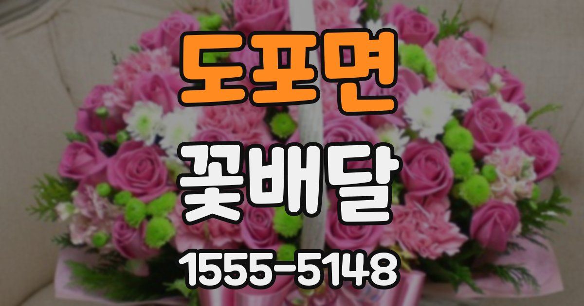 도포면 꽃배달