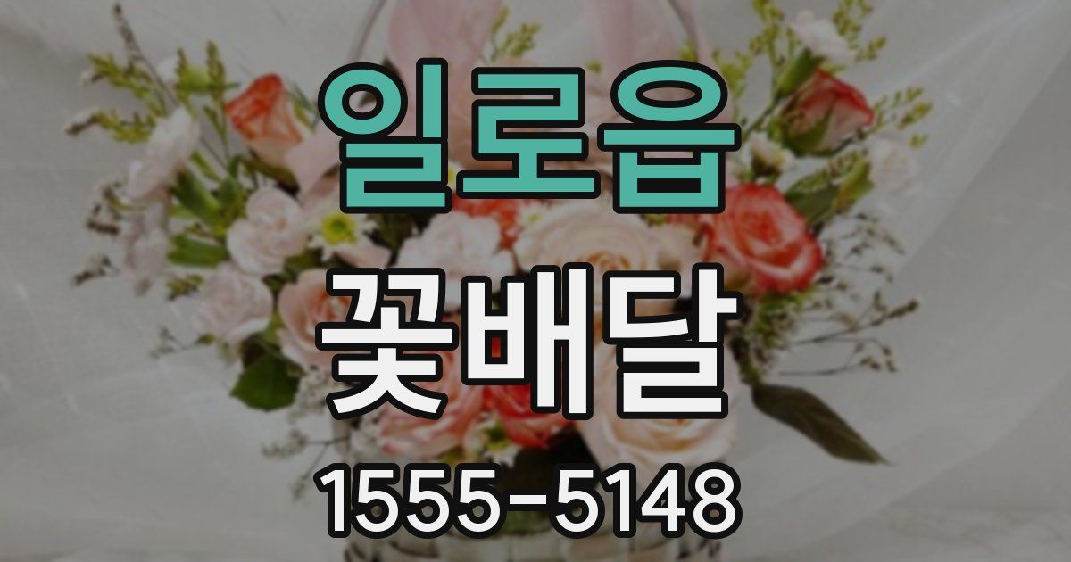 일로읍 꽃배달