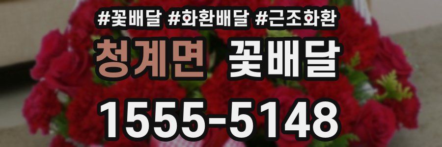 청계면 꽃배달