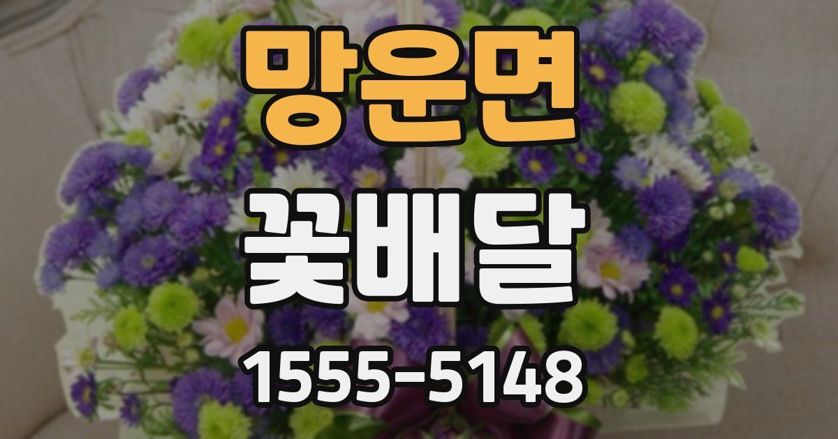 망운면 꽃배달