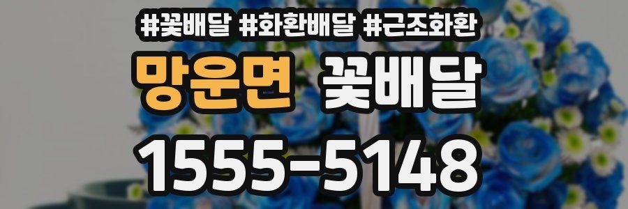 망운면 꽃배달