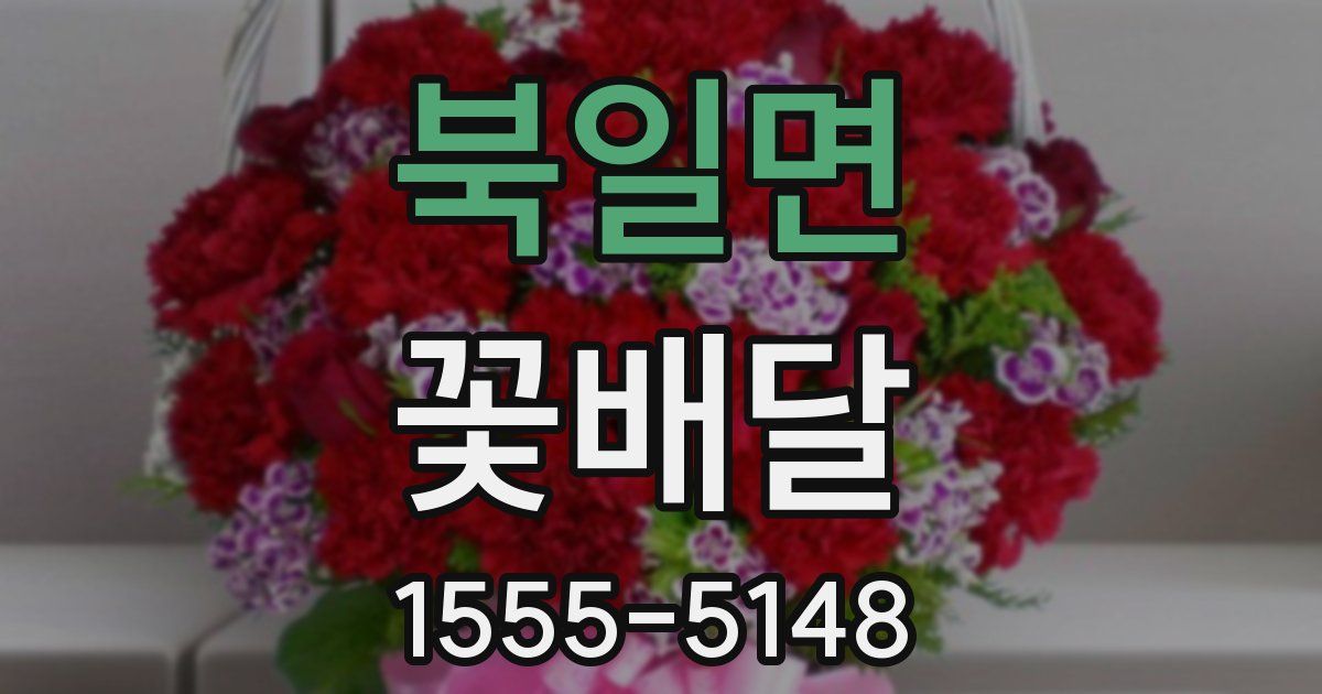 북일면 꽃배달
