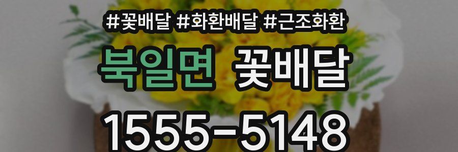 북일면 꽃배달