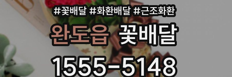 완도읍 꽃배달