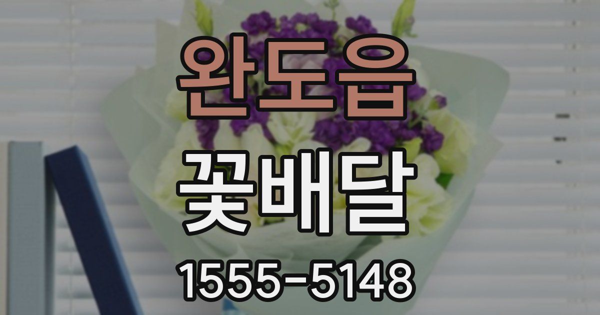 완도읍 꽃배달