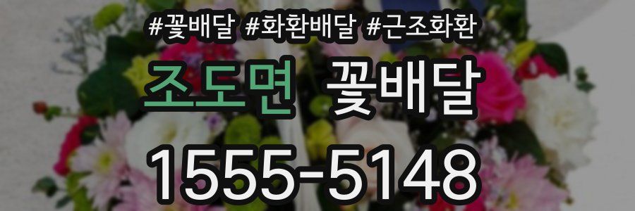 조도면 꽃배달
