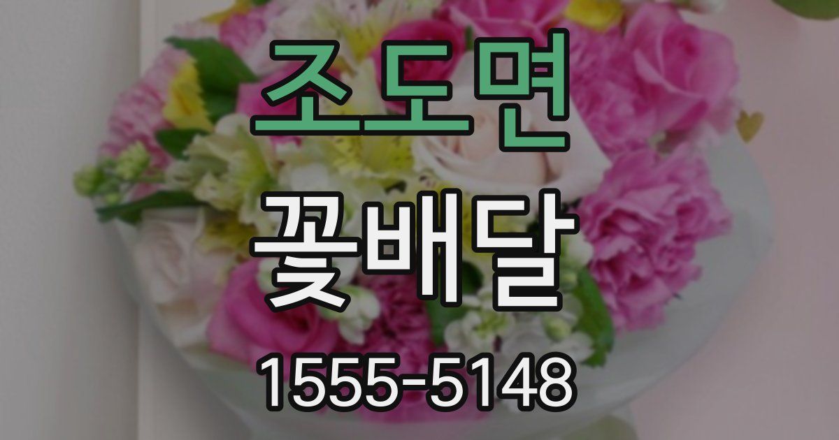 조도면 꽃배달