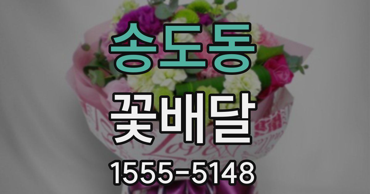 송도동 꽃배달