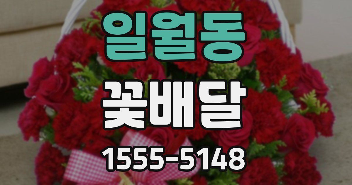 일월동 꽃배달