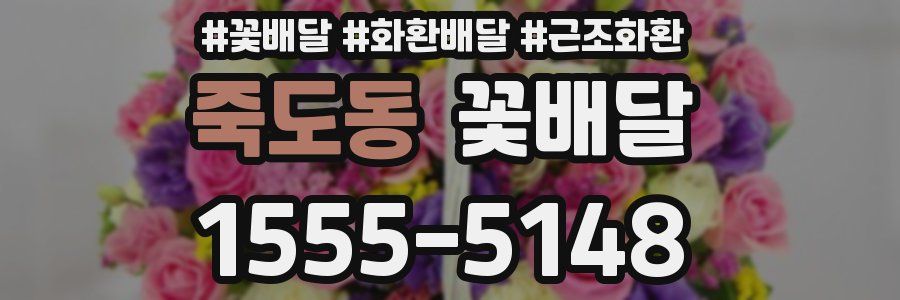 죽도동 꽃배달