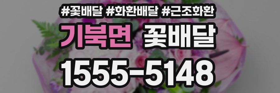 기북면 꽃배달