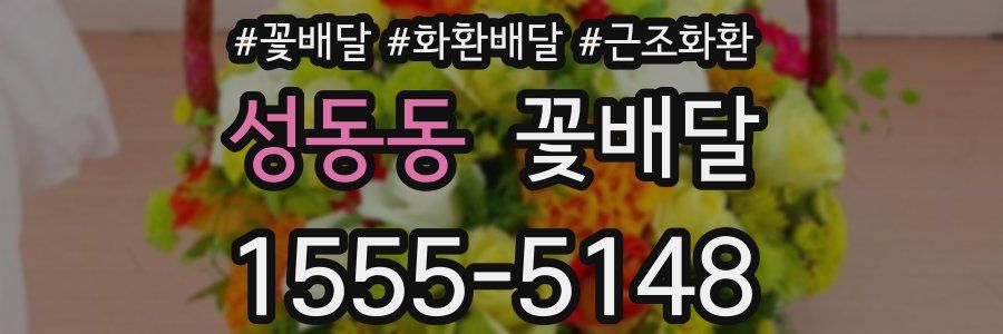 성동동 꽃배달