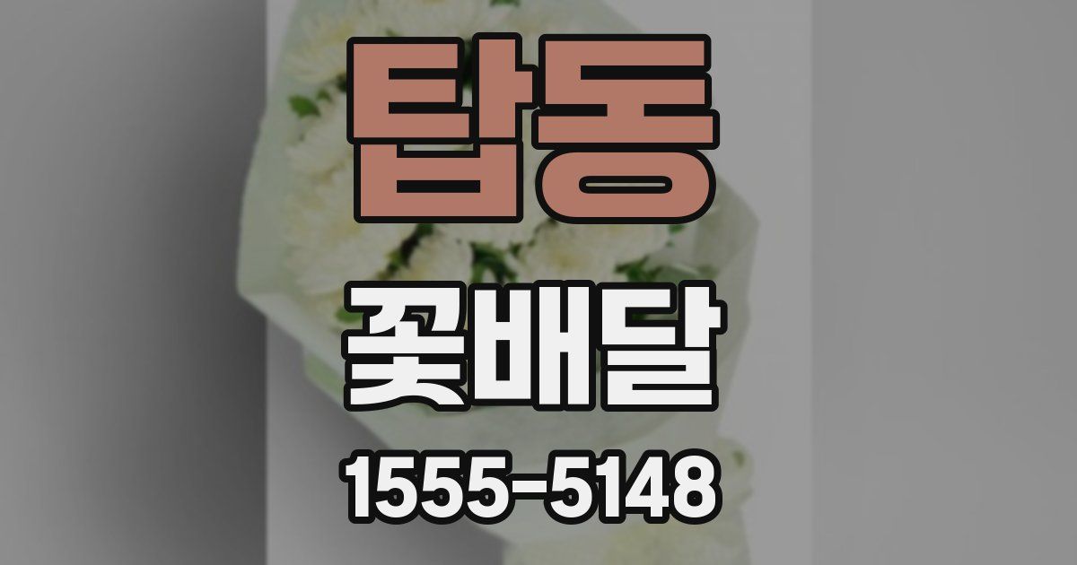탑동 꽃배달