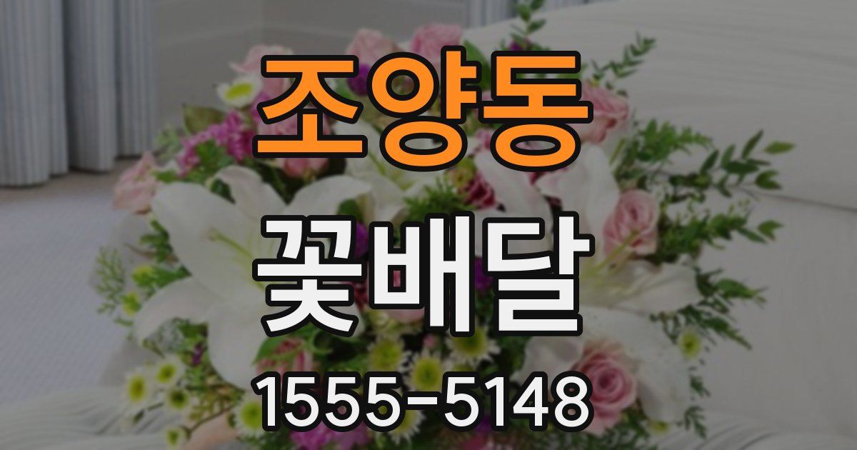 조양동 꽃배달