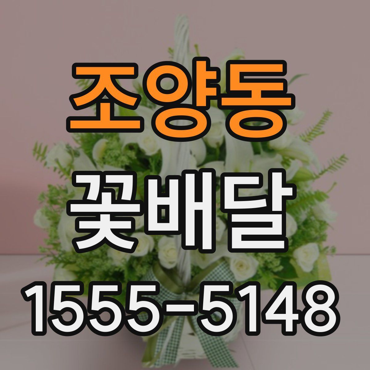 조양동 꽃배달