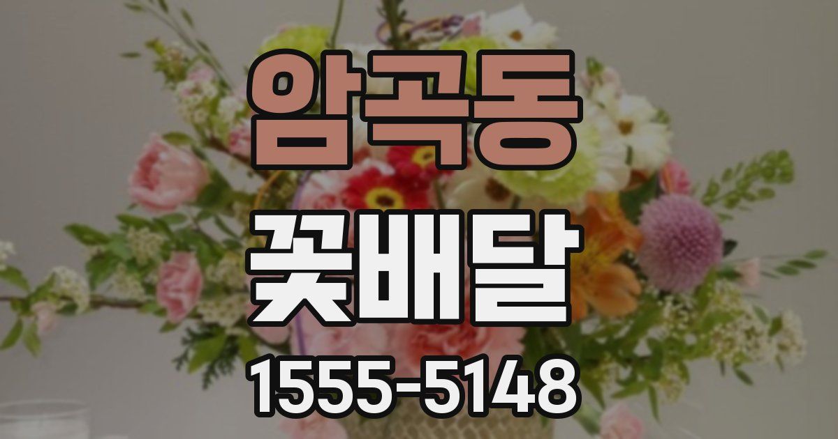 암곡동 꽃배달