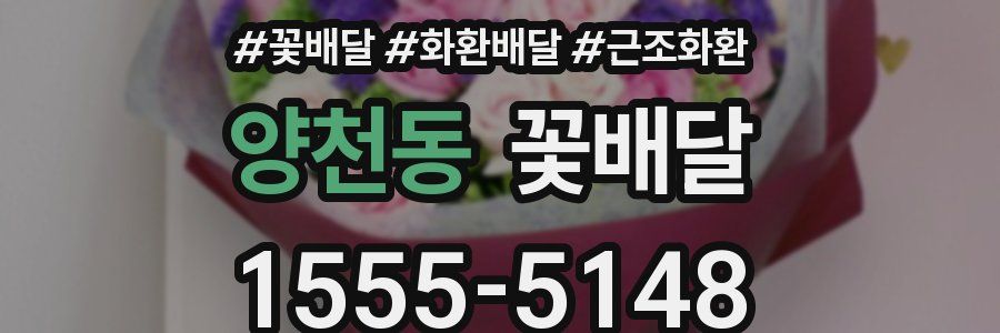 양천동 꽃배달