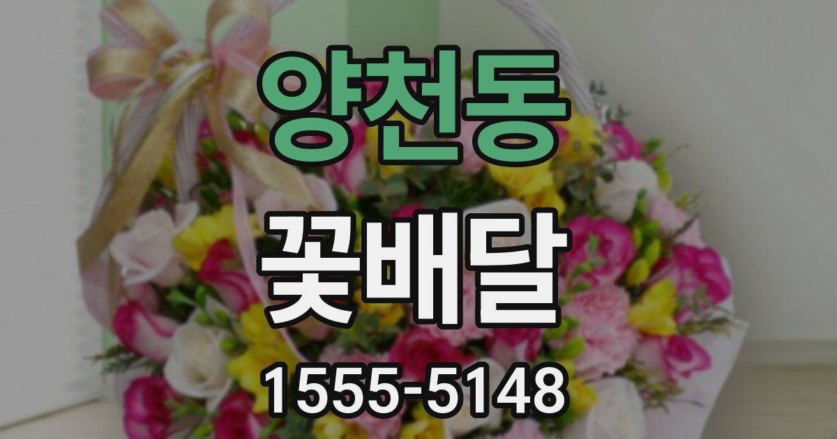 양천동 꽃배달