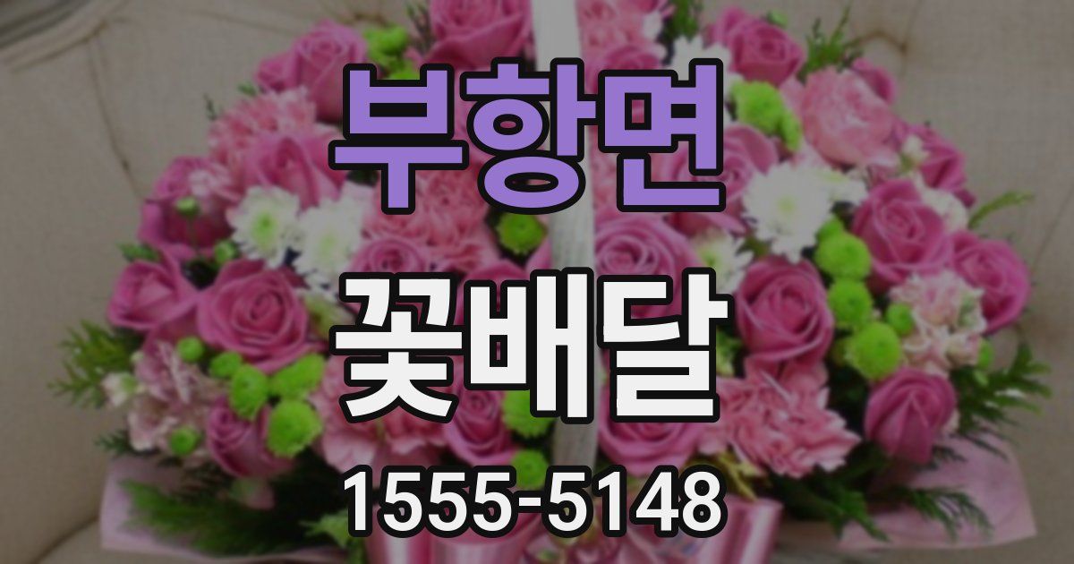 부항면 꽃배달