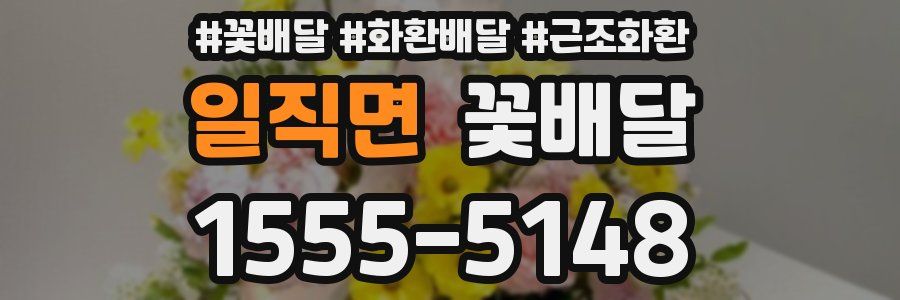 일직면 꽃배달