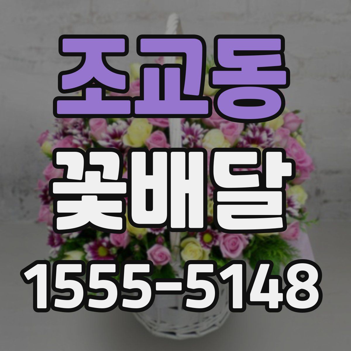 조교동 꽃배달