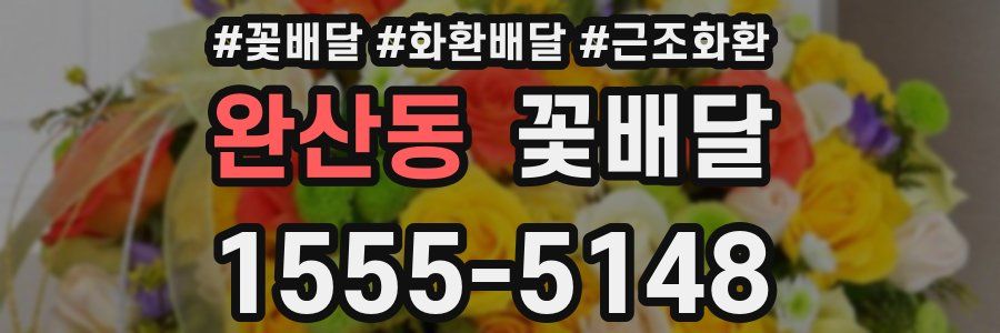 완산동 꽃배달