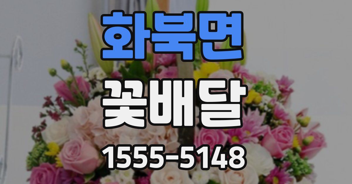 화북면 꽃배달