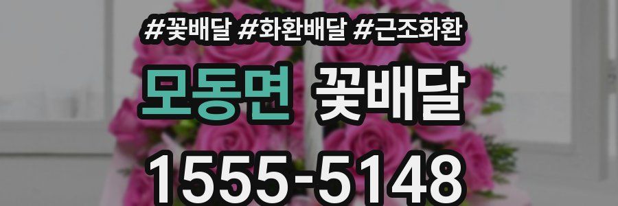 모동면 꽃배달
