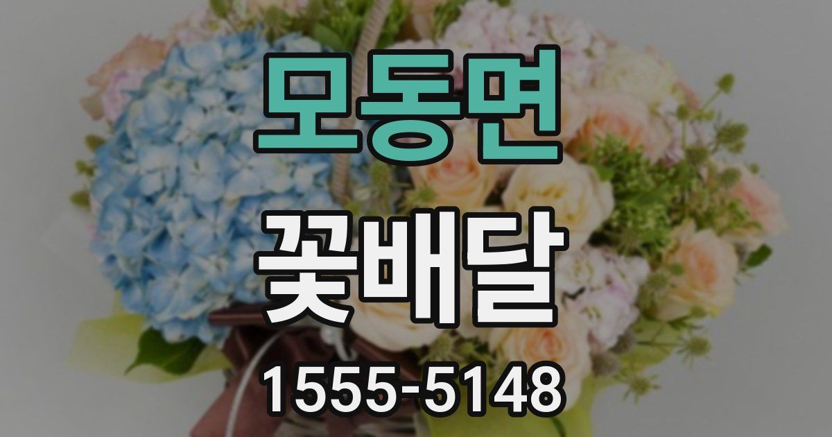 모동면 꽃배달
