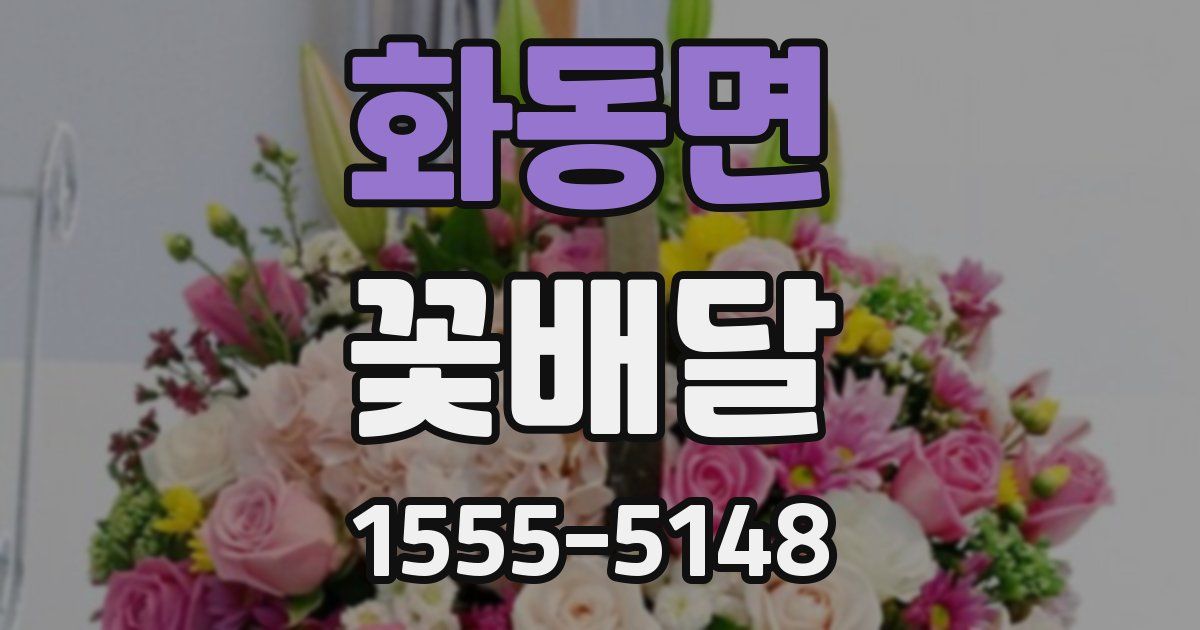 화동면 꽃배달