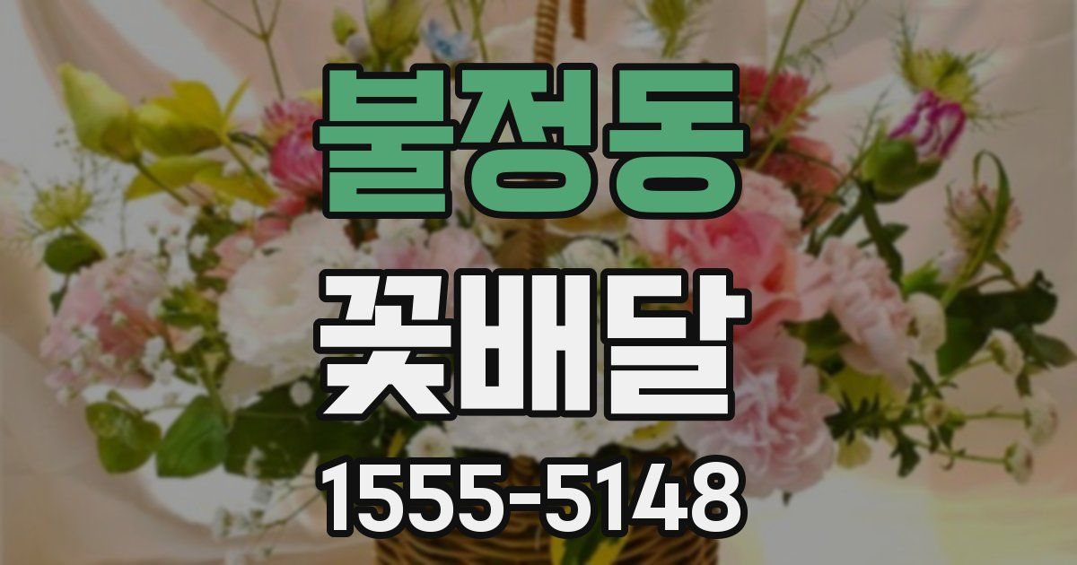 불정동 꽃배달