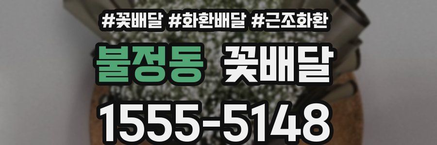 불정동 꽃배달