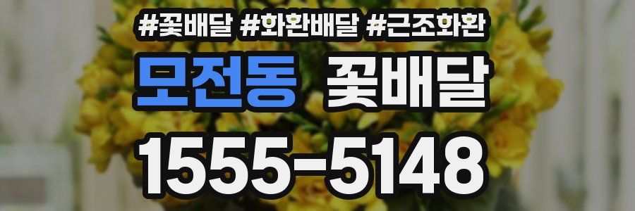 모전동 꽃배달