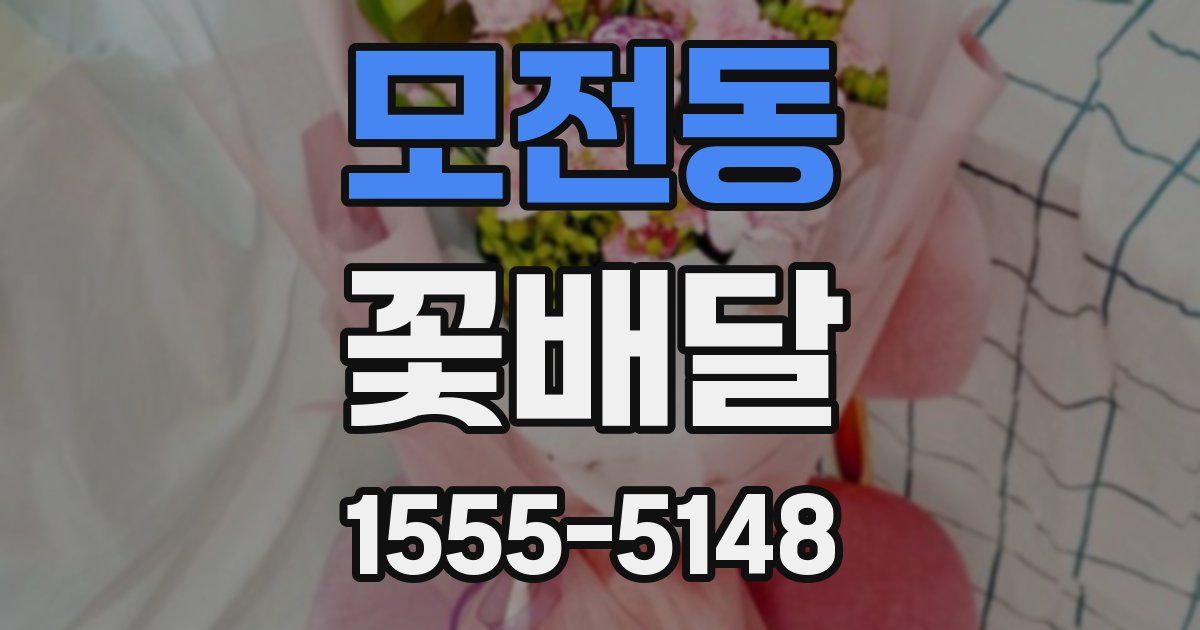 모전동 꽃배달