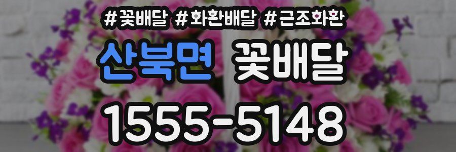 산북면 꽃배달