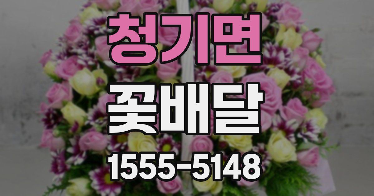 청기면 꽃배달