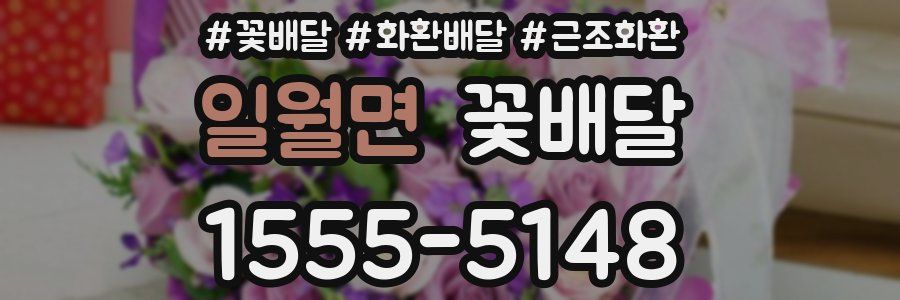 일월면 꽃배달