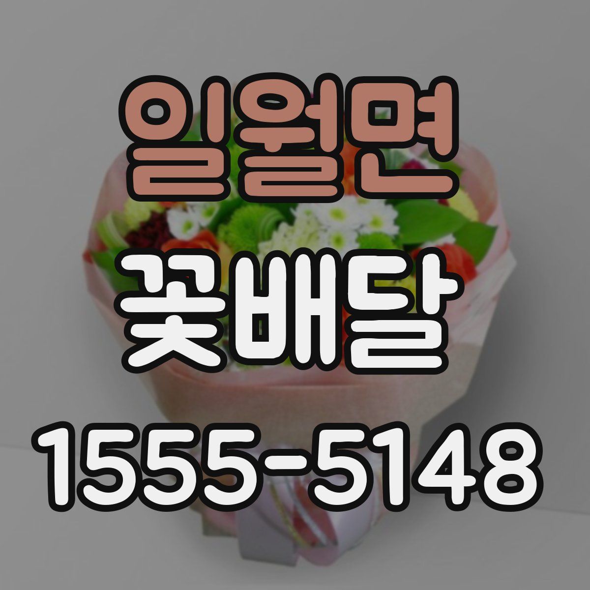일월면 꽃배달