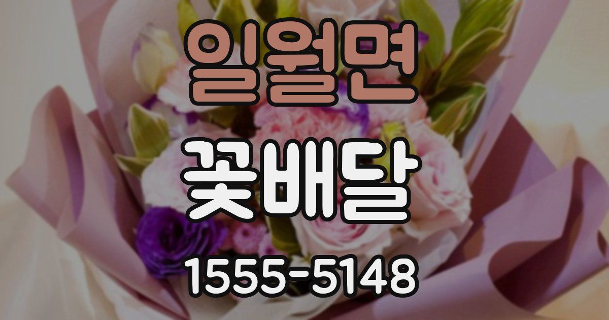 일월면 꽃배달