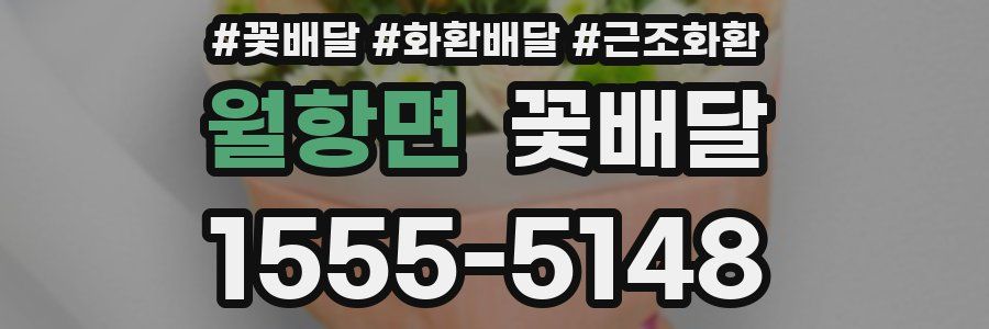 월항면 꽃배달